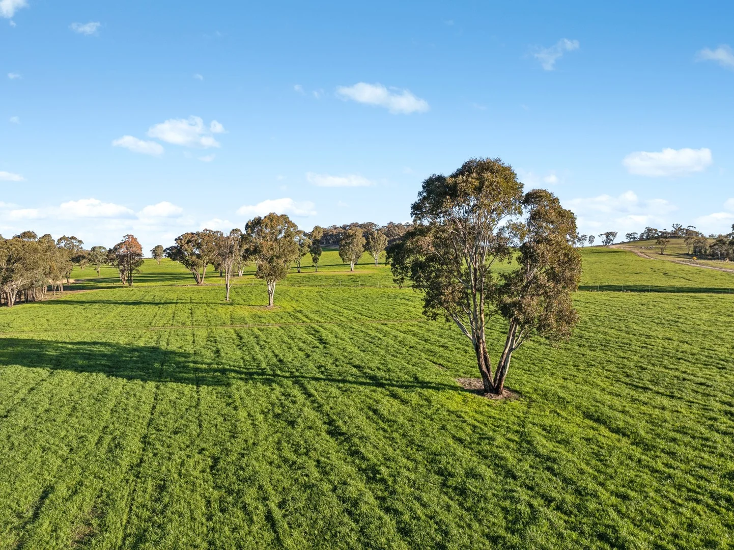 318 Belgravia Road, Orange NSW 2800