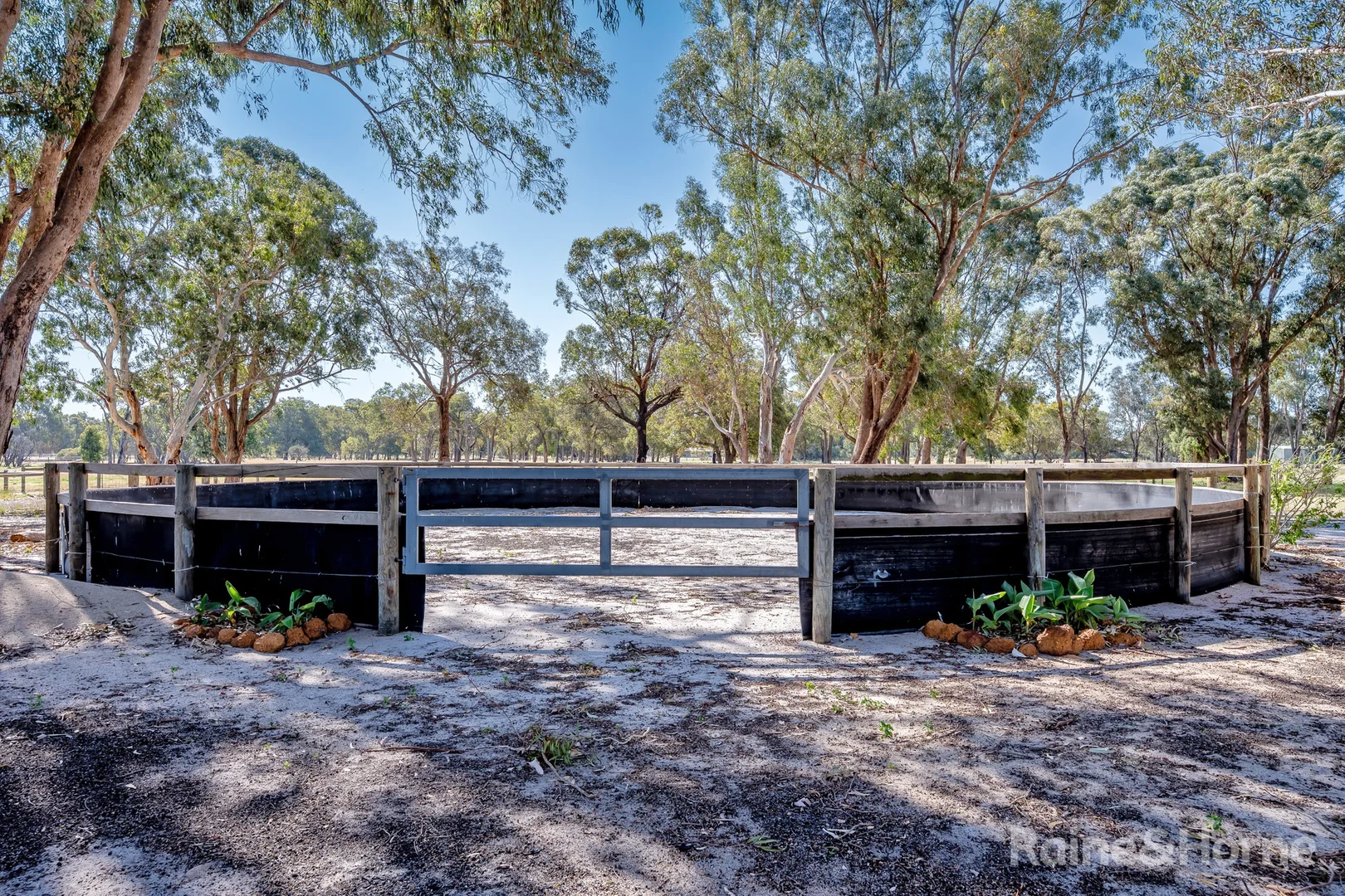 Additional image 5 of 213 Moores Road, West Pinjarra WA 6208