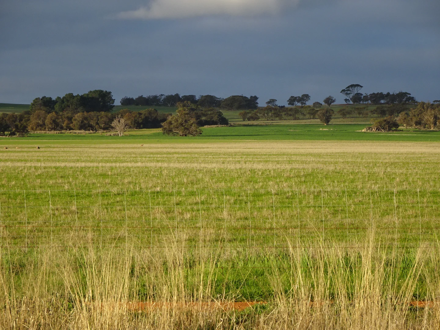 Additional image 7 of Lot 12520 Great Southern Highway, Woodanilling WA 6316