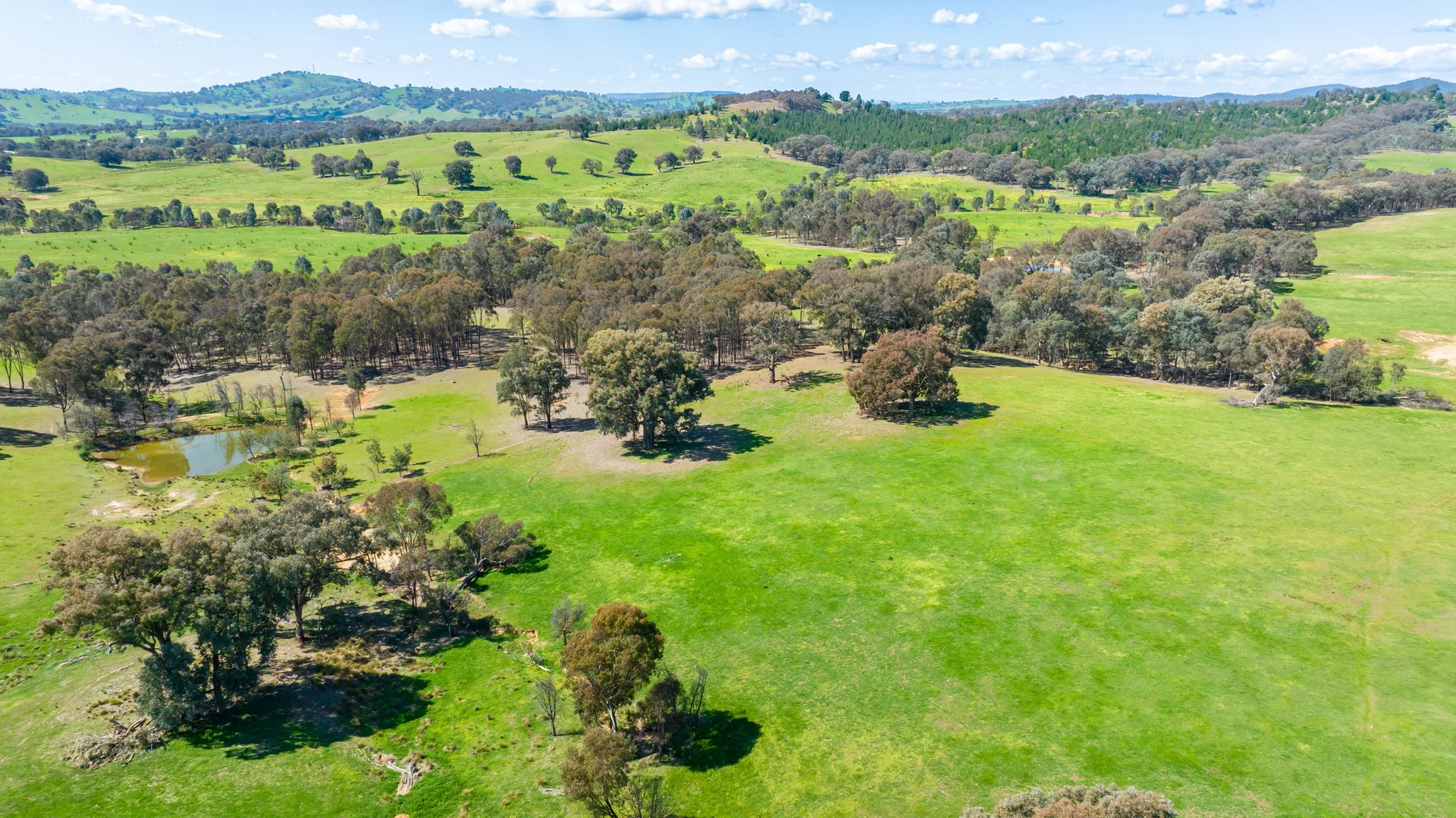 Additional image 12 of 13759 Hume Highway, Mullengandra NSW 2644