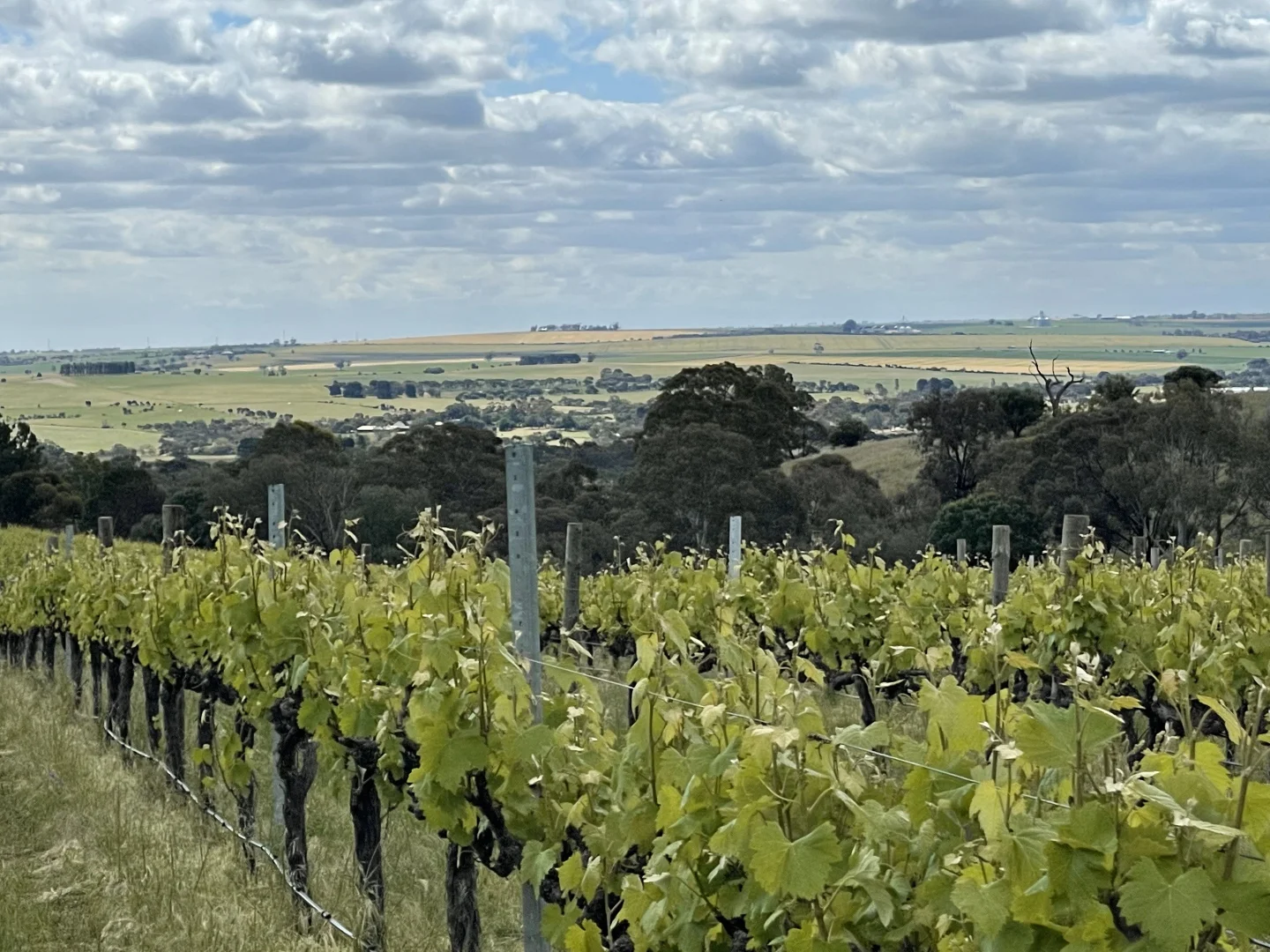 Additional image 19 of 296 Rosedale Scenic Road, Lyndoch SA 5351