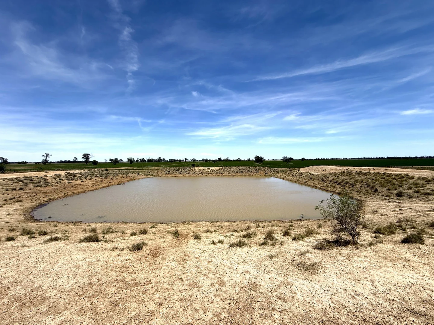 Additional image 8 of 1539 Bland Road, Quandialla NSW 2721