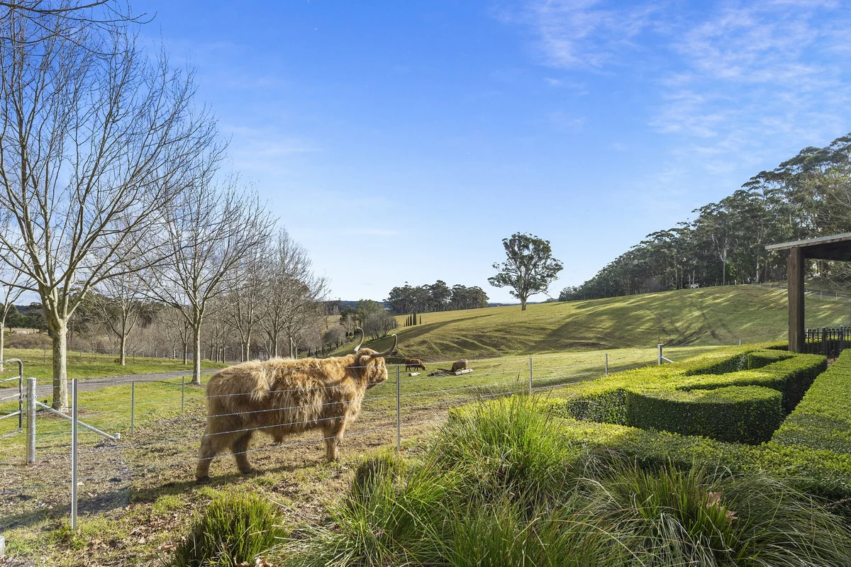 Additional image 28 of 562 Nowra Road, Moss Vale NSW 2577