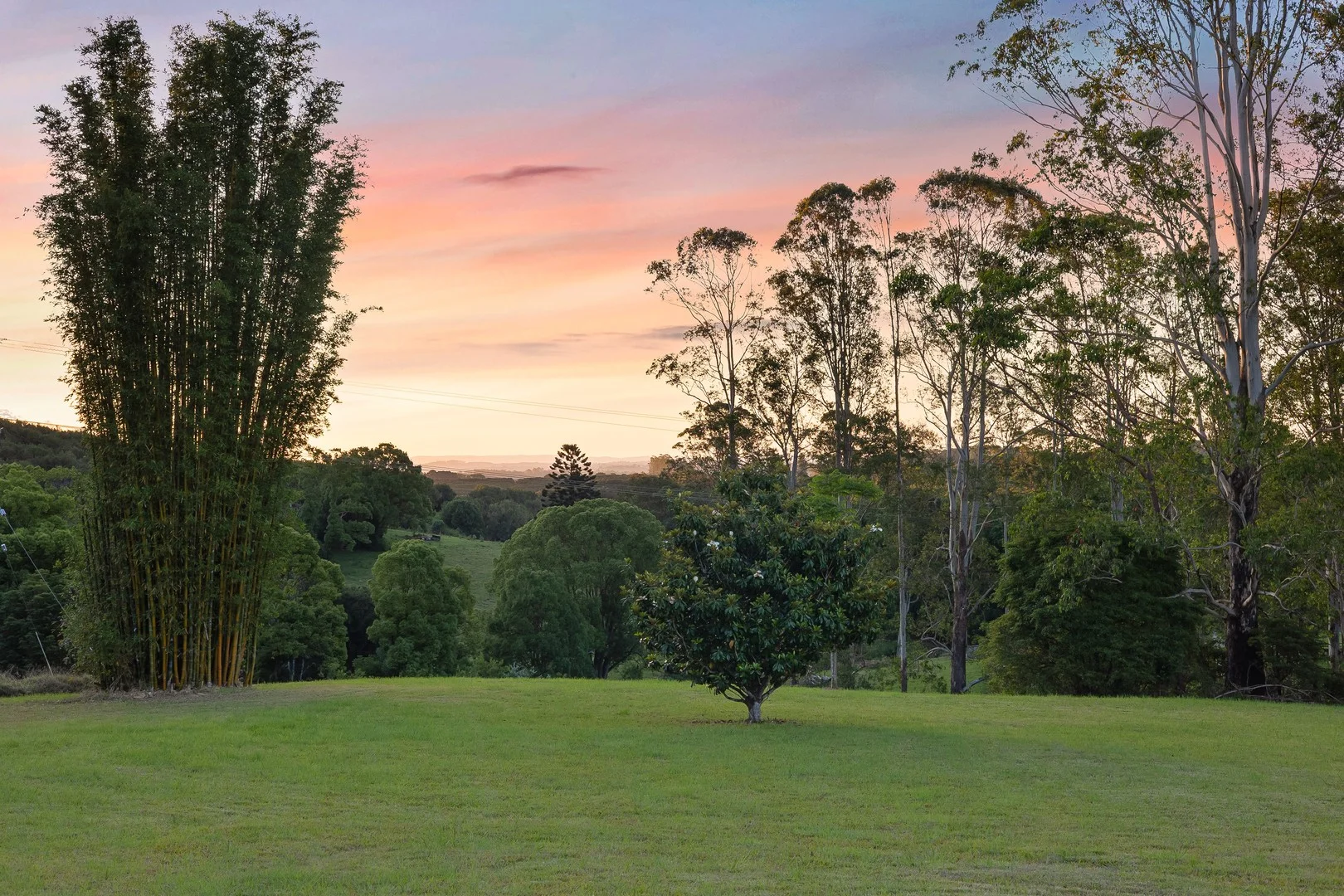 Additional image 2 of 321 Fernleigh Road, Fernleigh NSW 2479