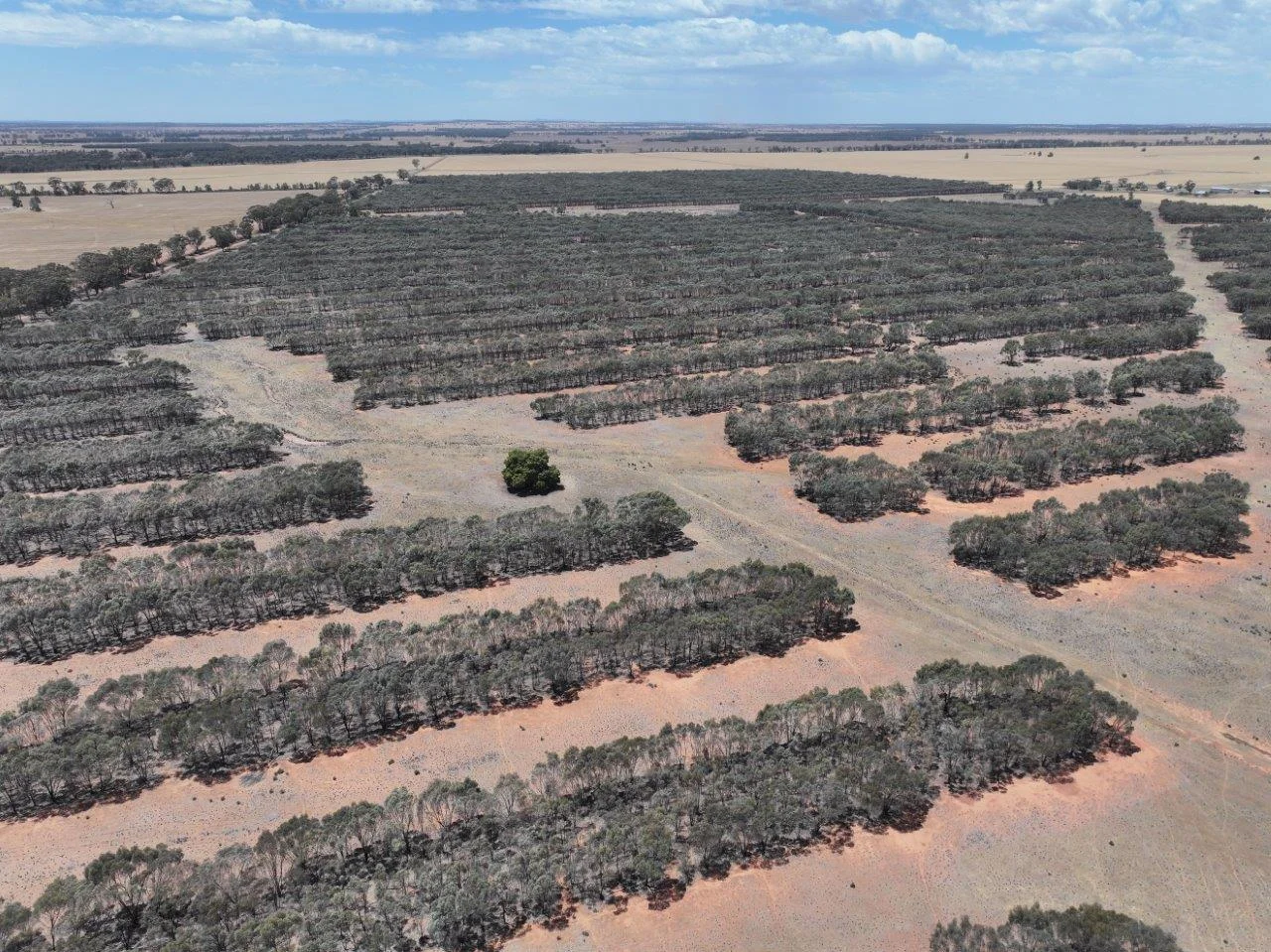 Additional image 9 of 'Corio' 343 Lees Lane, Alleena NSW 2671