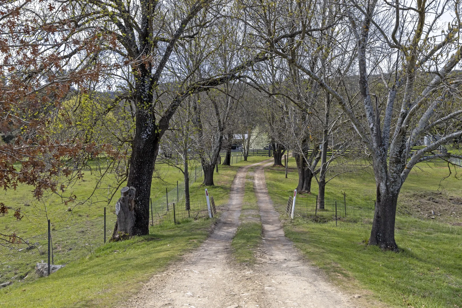 Additional image 17 of 388 Caves Road, Wee Jasper NSW 2582