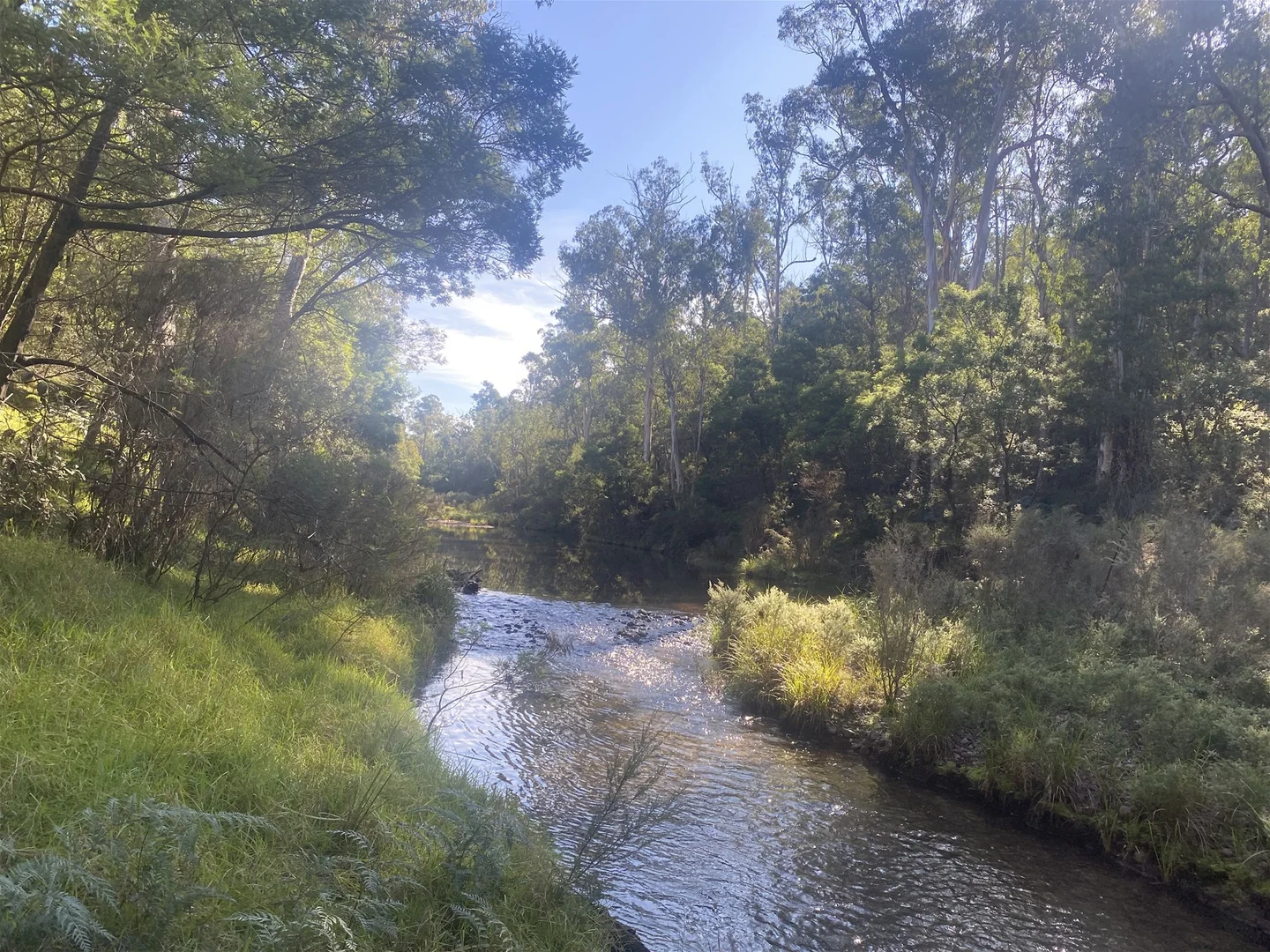 Additional image 30 of 138 Elliot Road, Valencia Creek VIC 3860