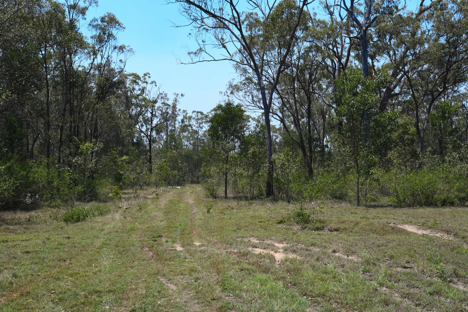 Additional image 16 of 156 Larsens Road, Coominya QLD 4311