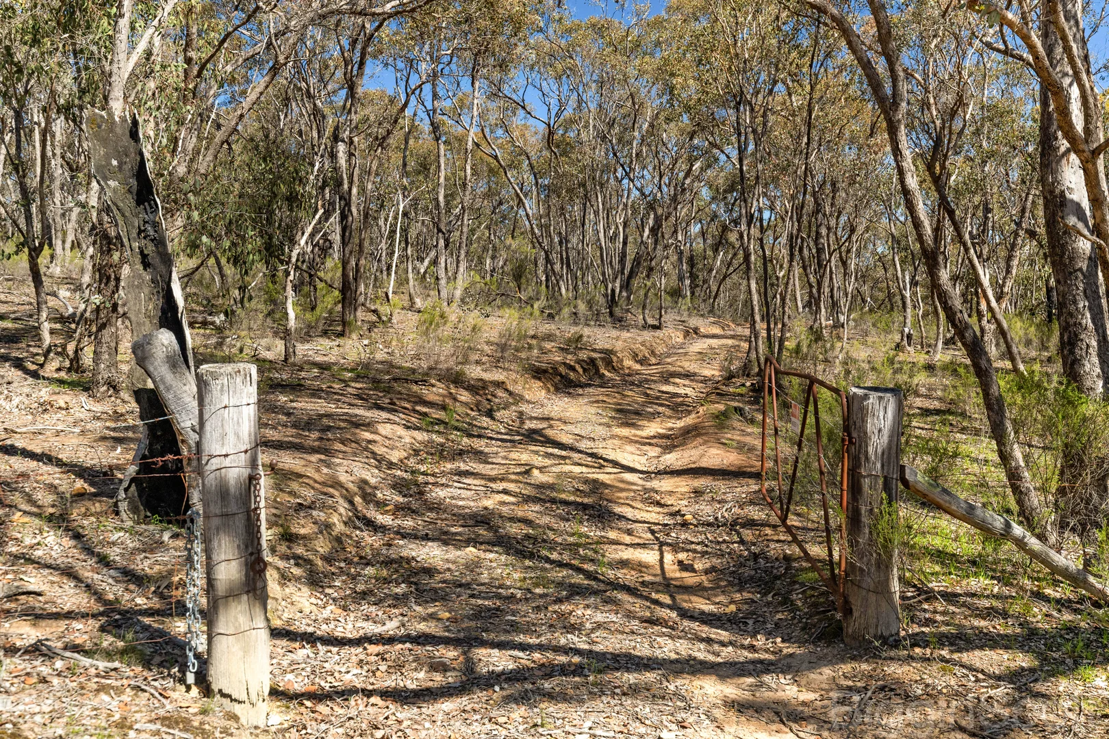 Additional image 11 of 595 Providence Gully Road, Yandoit Hills VIC 3461