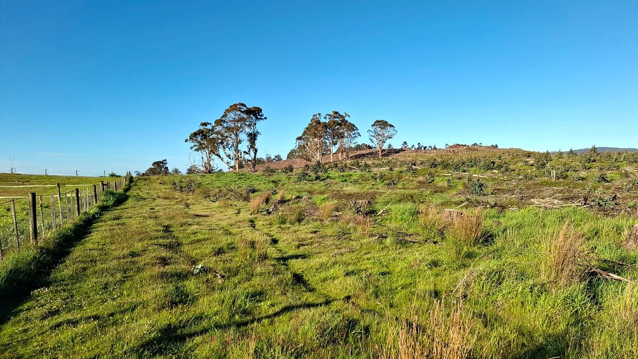 Additional image 31 of 108 Weeks Road, Barrington TAS 7306