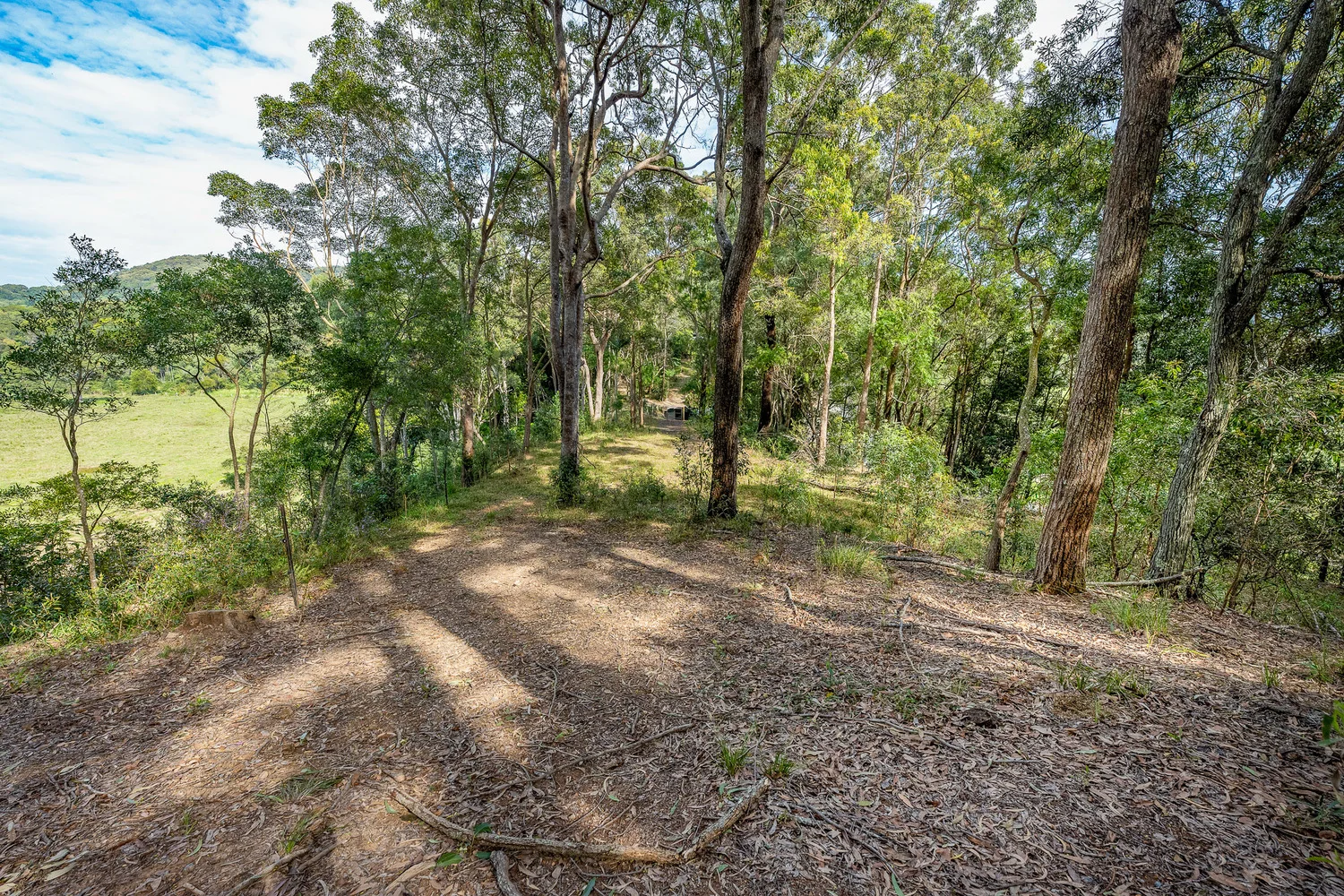 Additional image 4 of 38 Wooyung Road, Wooyung NSW 2483