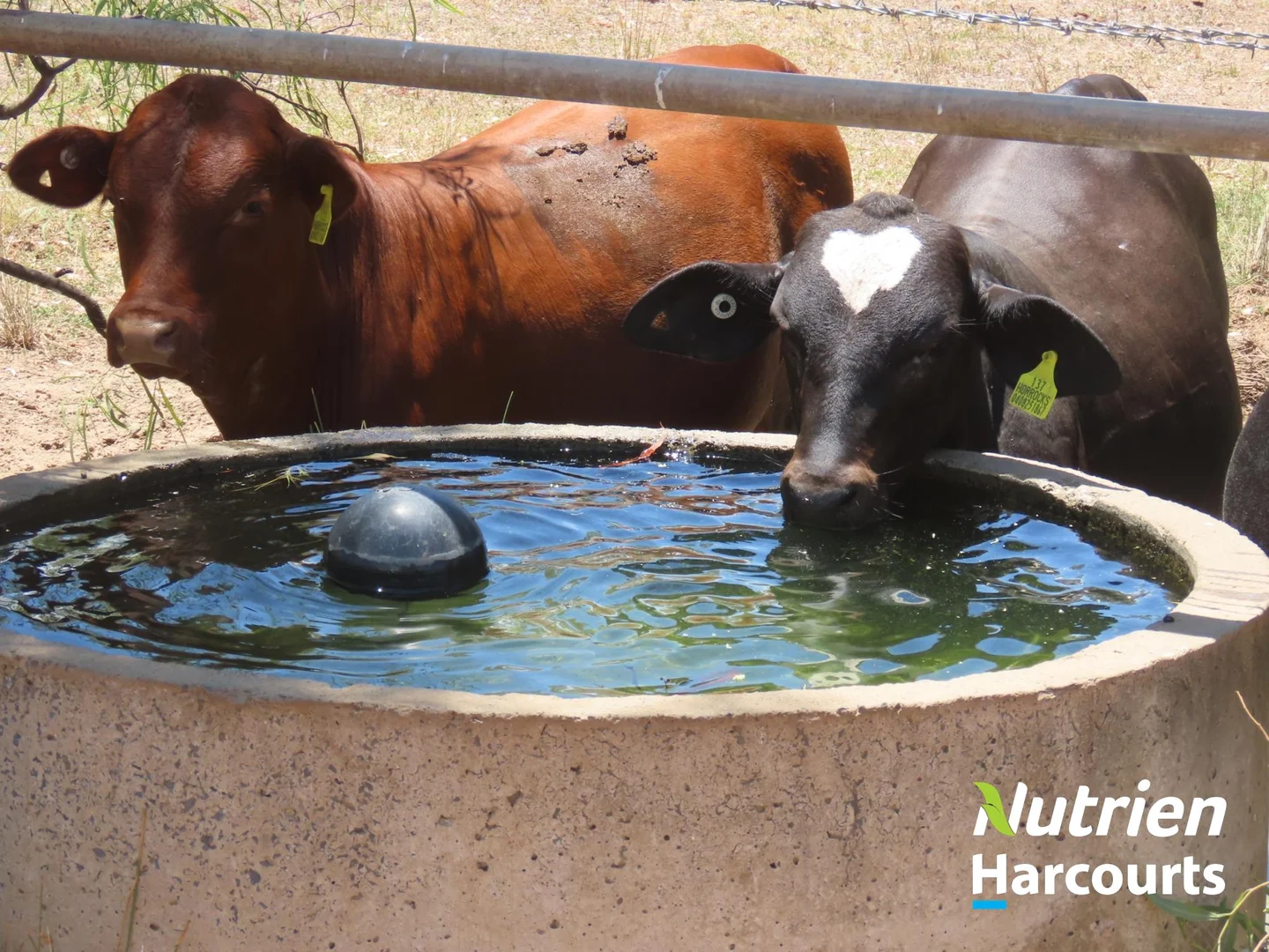 Additional image 3 of 7 Mullers Road, Chinchilla QLD 4413