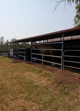 Additional image 8 of 23a Videroni St, Bundamba QLD 4304