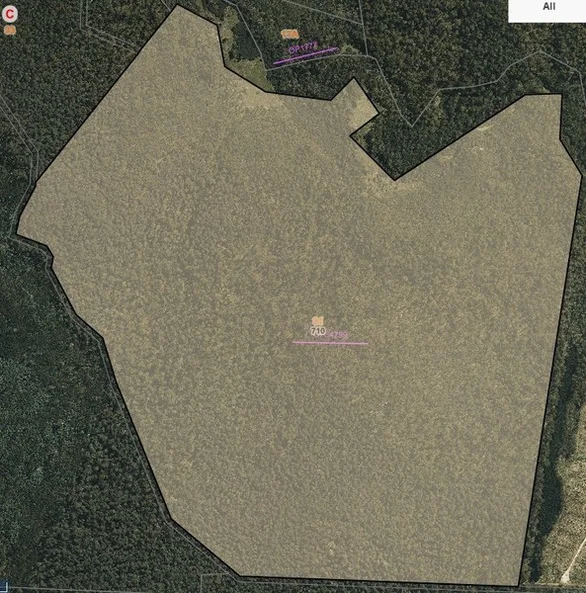 Additional image 14 of 710 Old Bendoc Bonang Road, Bendoc VIC 3888