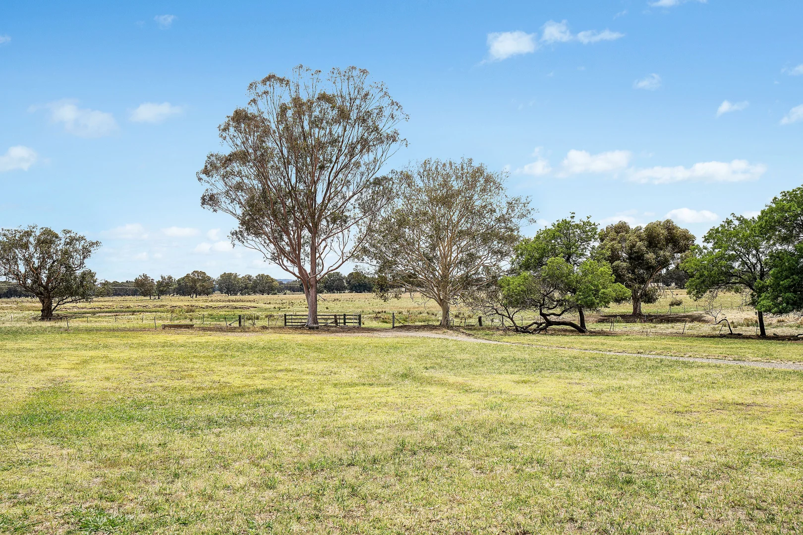 Additional image 20 of 301 Boiling Down Road, Rowan NSW 2650