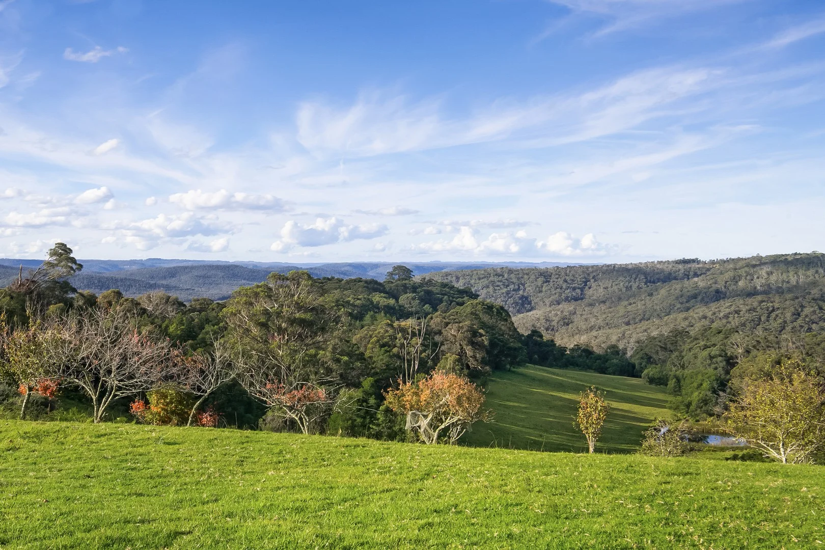 Additional image 3 of 1639 Caoura Road, Tallong NSW 2579