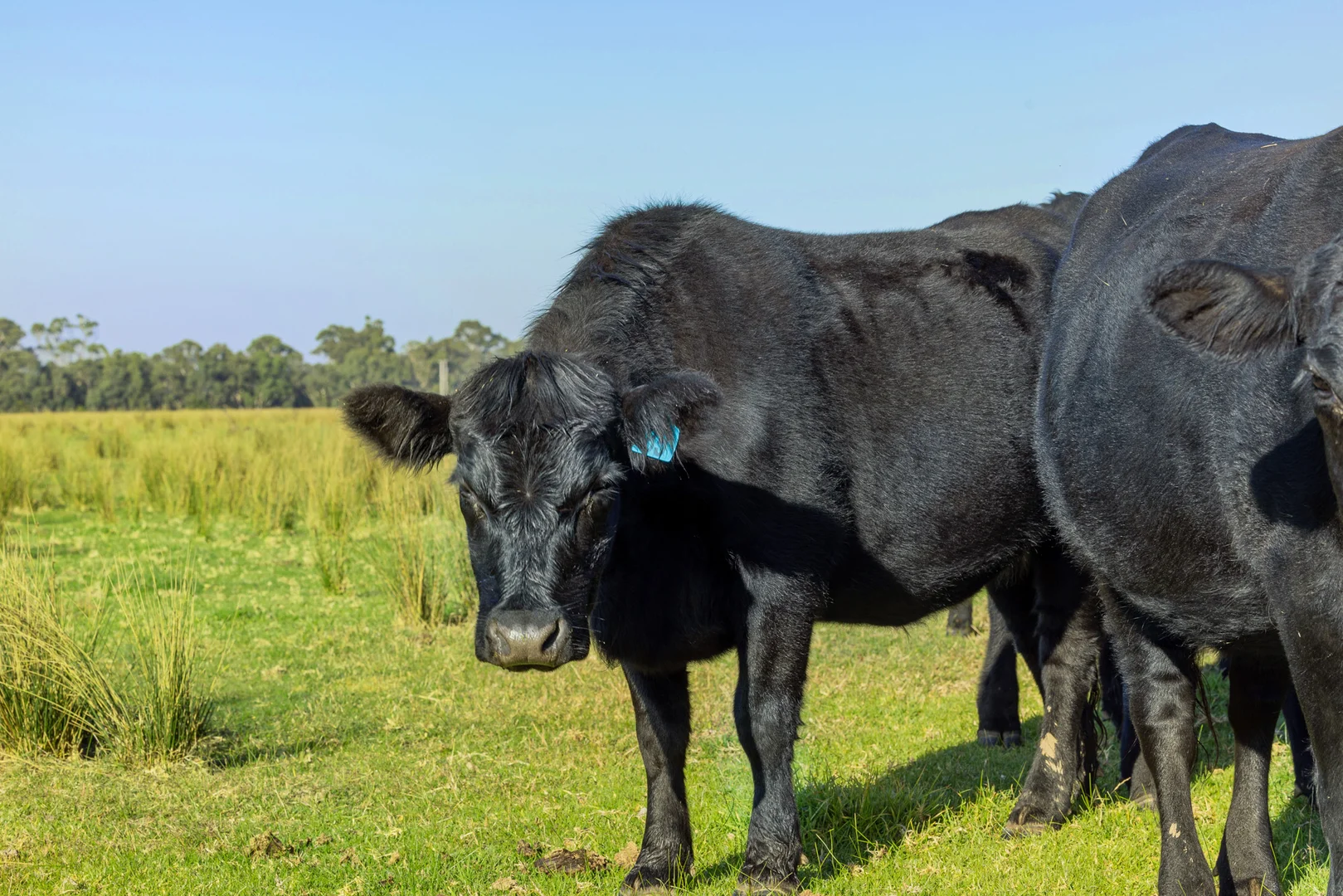 Additional image 19 of 86 Munro-Stockdale Road, Munro VIC 3862