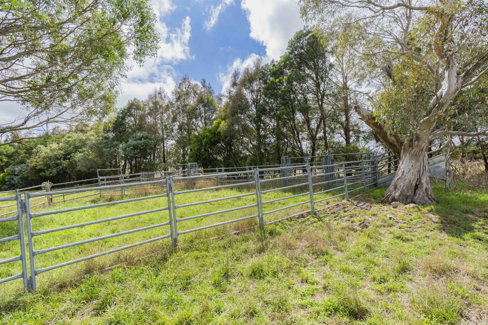 Additional image 10 of 251 Mount Rae Road, Roslyn NSW 2580