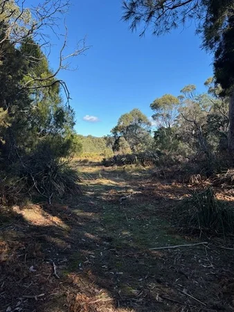 Additional image 5 of Beauty Point TAS 7270