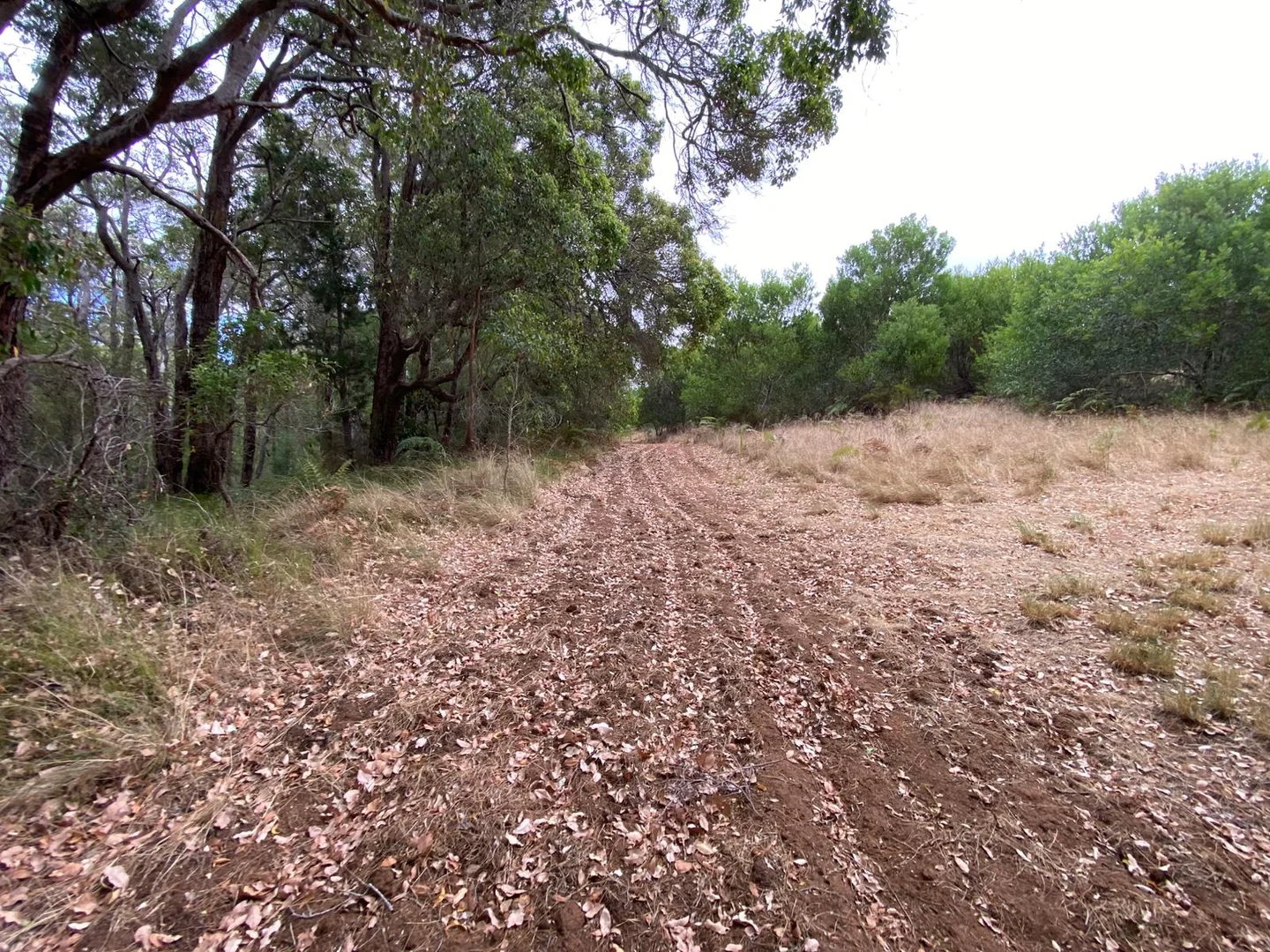 Additional image 6 of 45647 South Coast Highway, Kalgan WA 6330