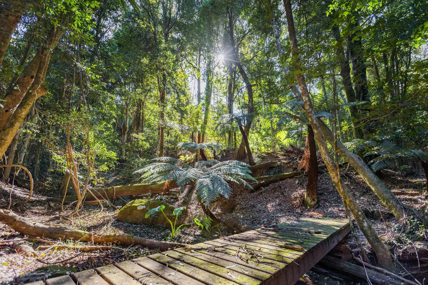 Additional image 31 of 499C Tourist Road, Bellawongarah NSW 2535