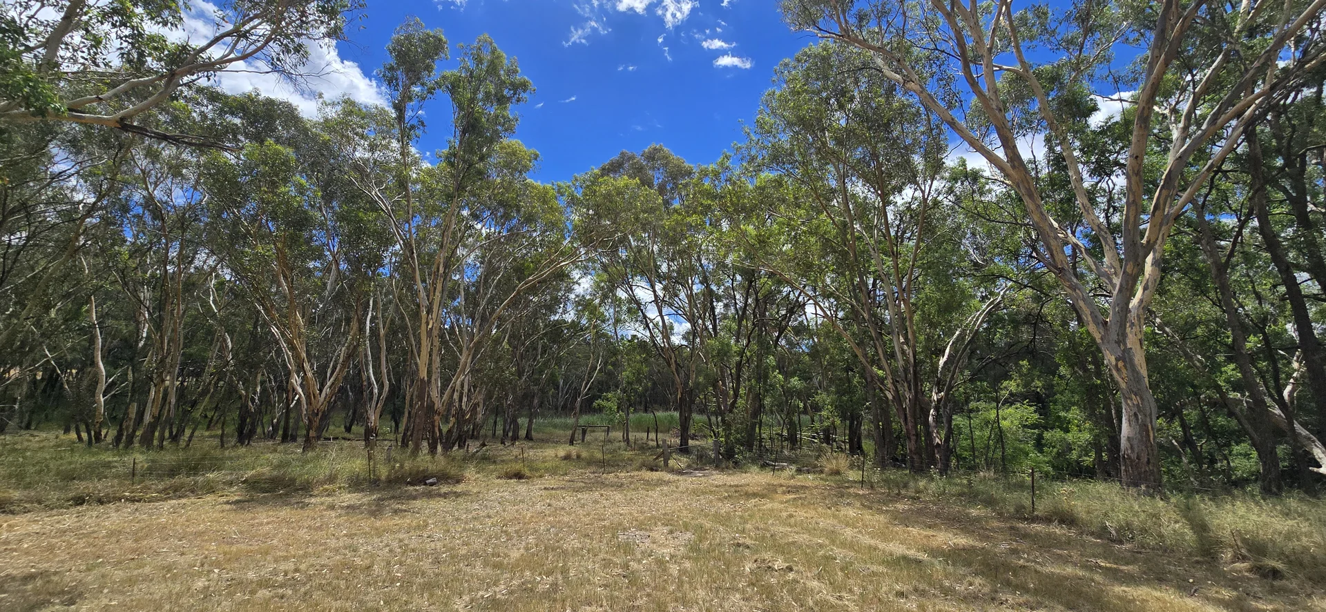 Additional image 25 of 122 Dows Lane, Coonabarabran NSW 2357