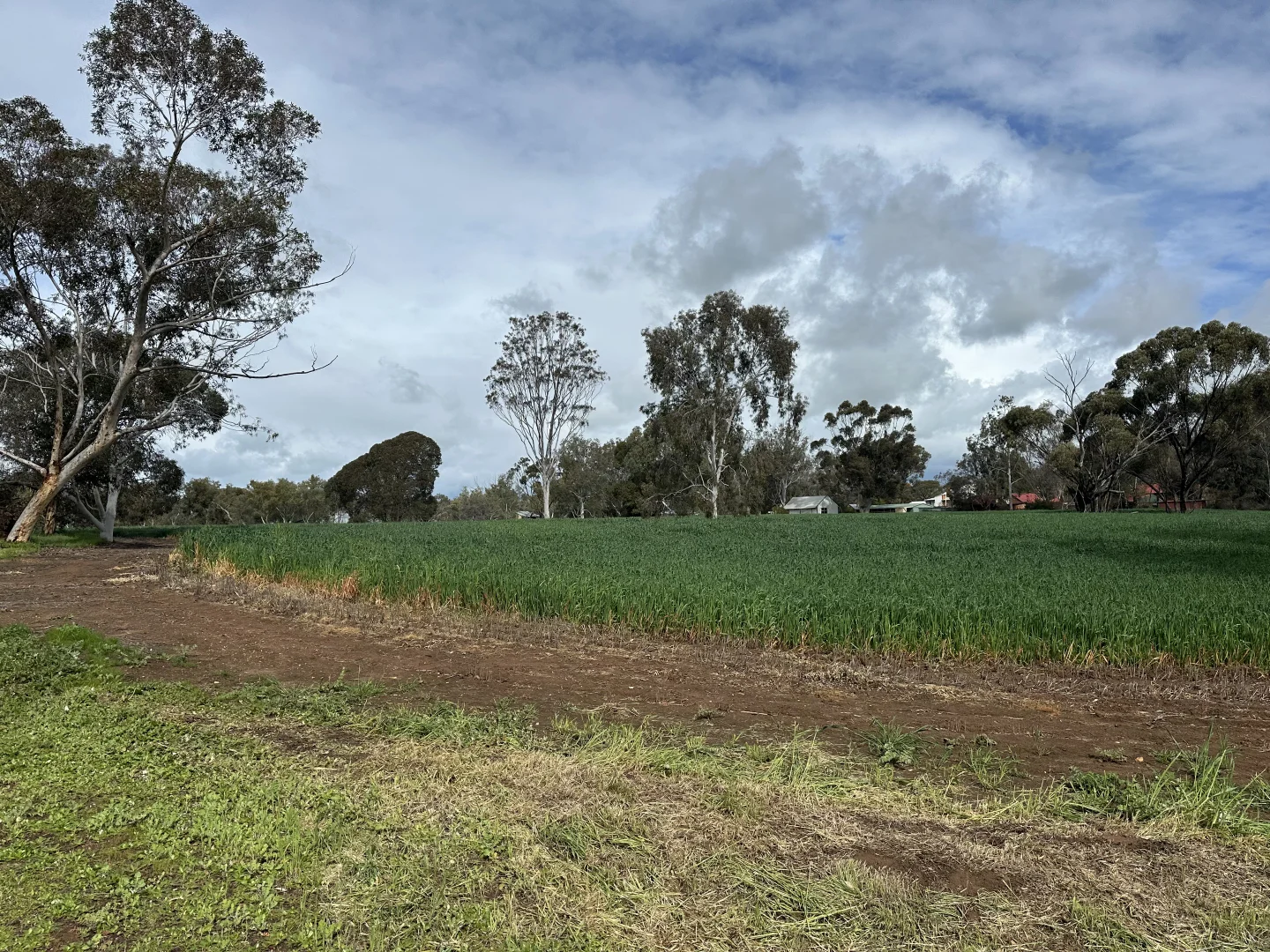 Additional image 31 of 3 Redmile Road, York WA 6302