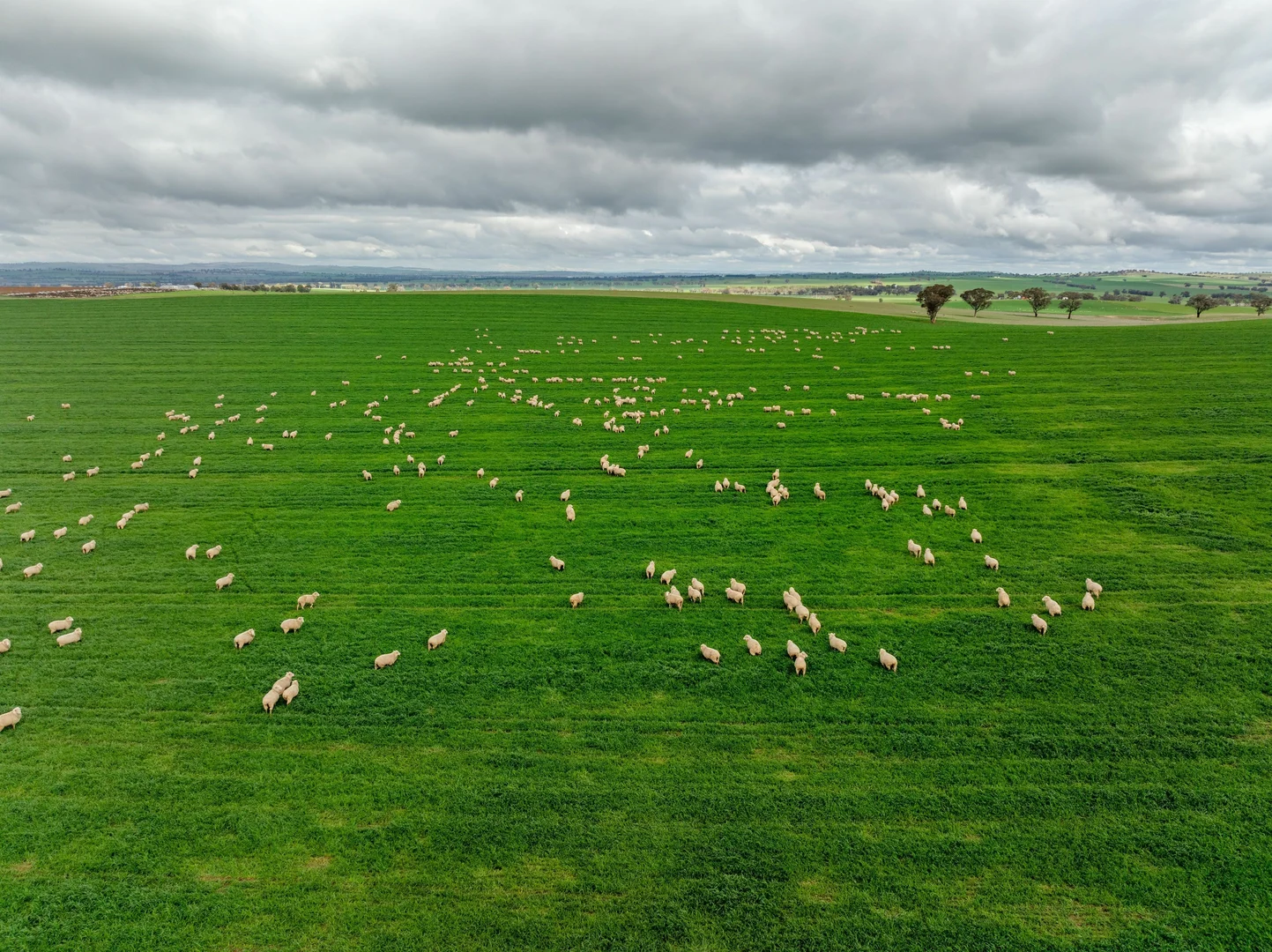 Additional image 11 of 79 Goldfields Way Old Junee Via, Wagga Wagga NSW 2650