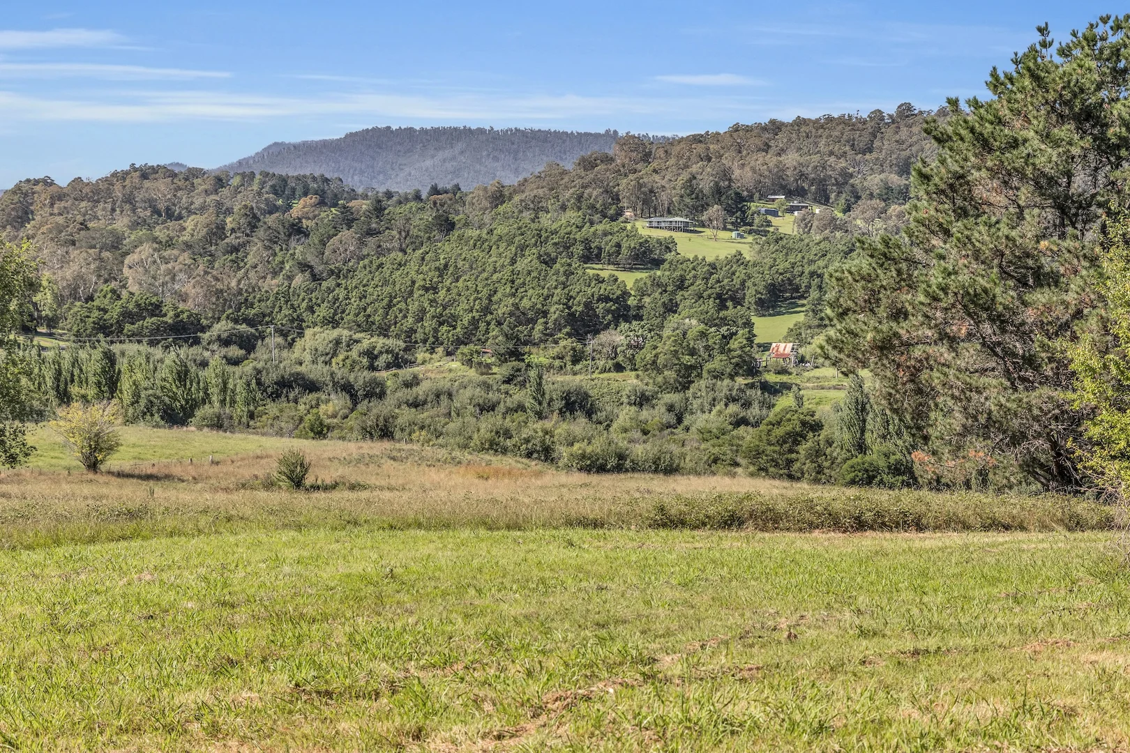 Additional image 12 of 2577 Towamba Road, Towamba NSW 2550