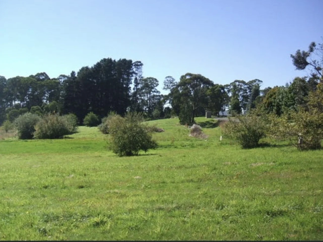 Additional image 2 of 19-21 DOWLING STREET, Bendoc VIC 3888