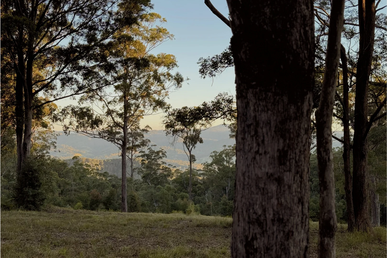 Additional image 2 of 949-971 Delicia Road, Coolabine QLD 4574