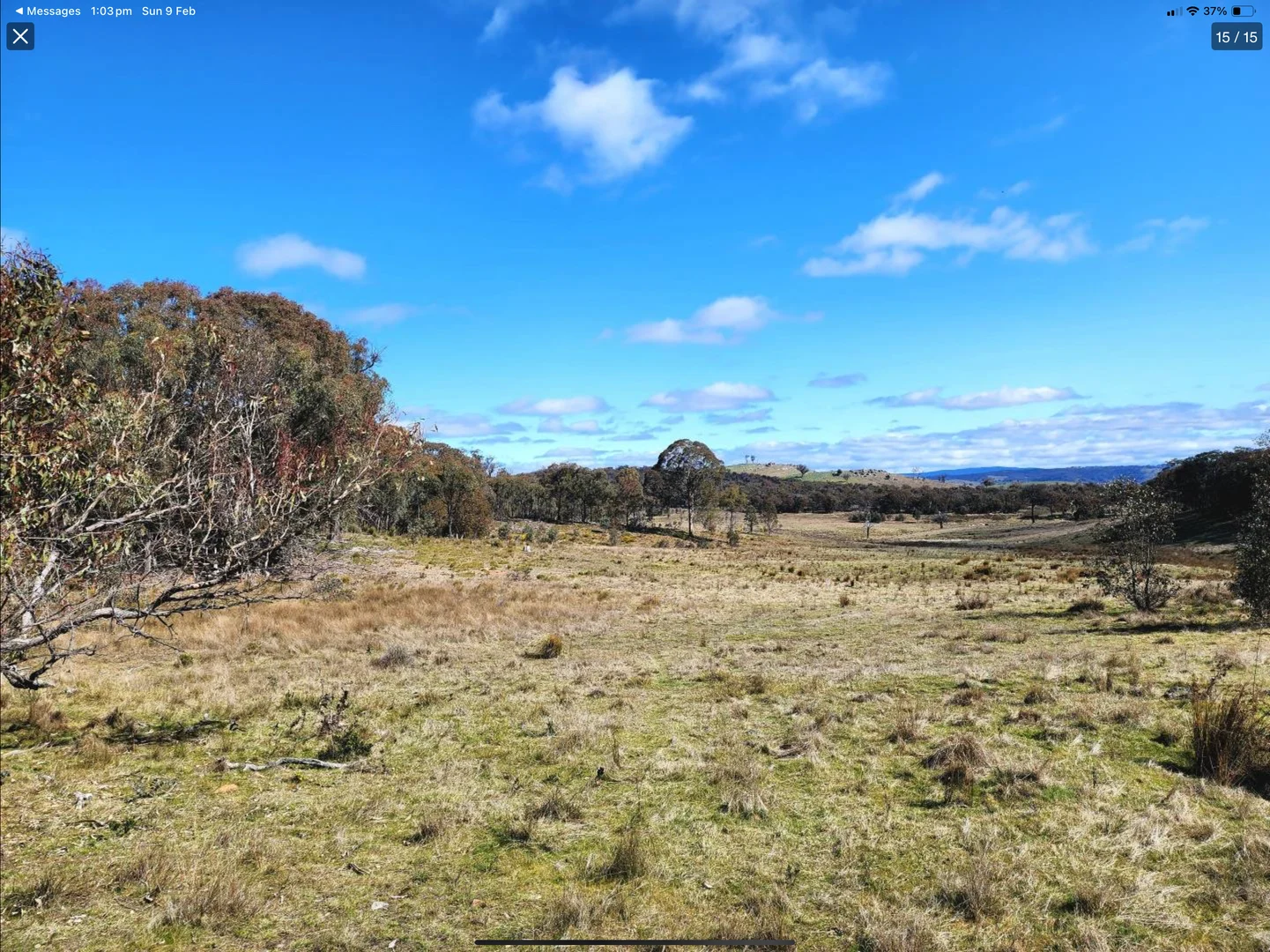 Additional image 20 of "Cummings Gap" Ullamalla road, Mudgee NSW 2850