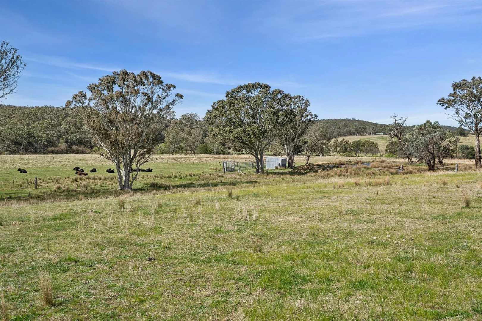 Additional image 19 of 44 Mills Road, Towrang NSW 2580