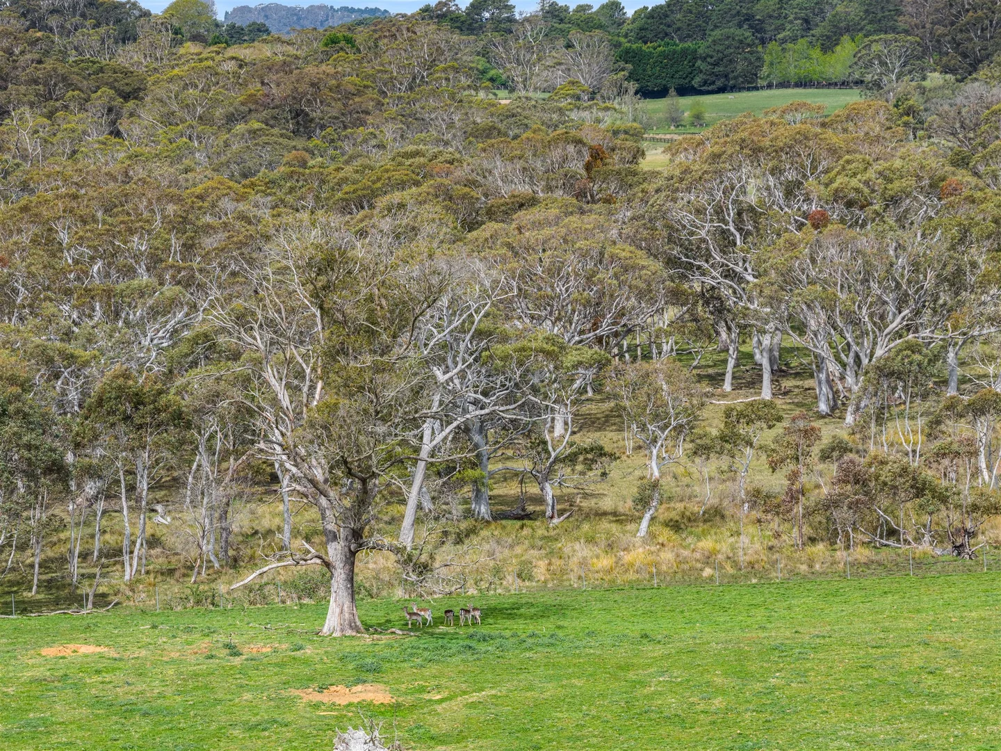 Additional image 28 of 103 Redhills Road, Fitzroy Falls NSW 2577