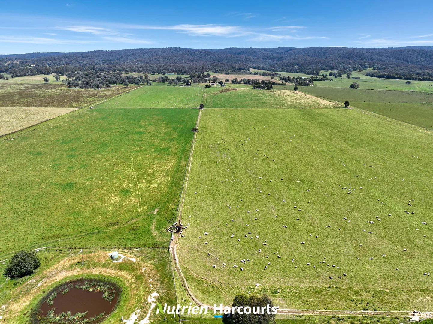 Additional image 18 of 480 Toongabbie-Cowwarr Road, Cowwarr VIC 3857