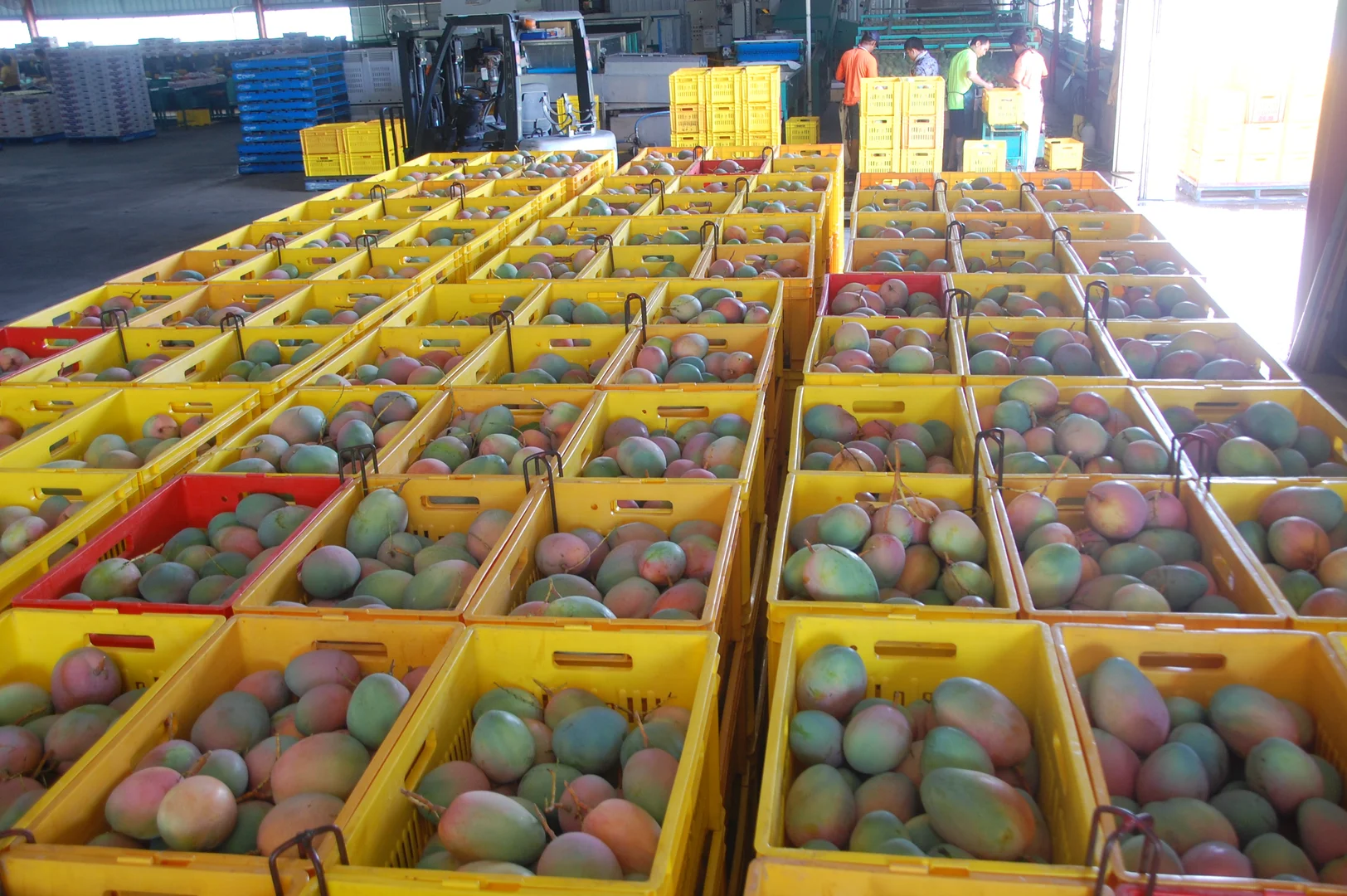 Additional image 6 of Dimbulah QLD 4872