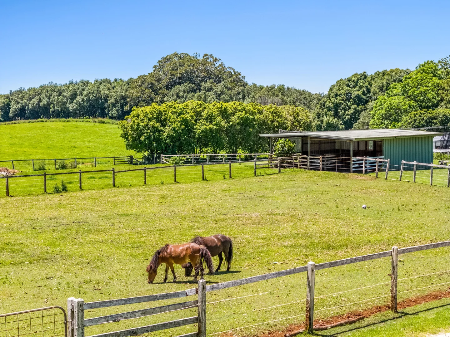 Additional image 4 of 836 Fernleigh Road, Brooklet NSW 2479