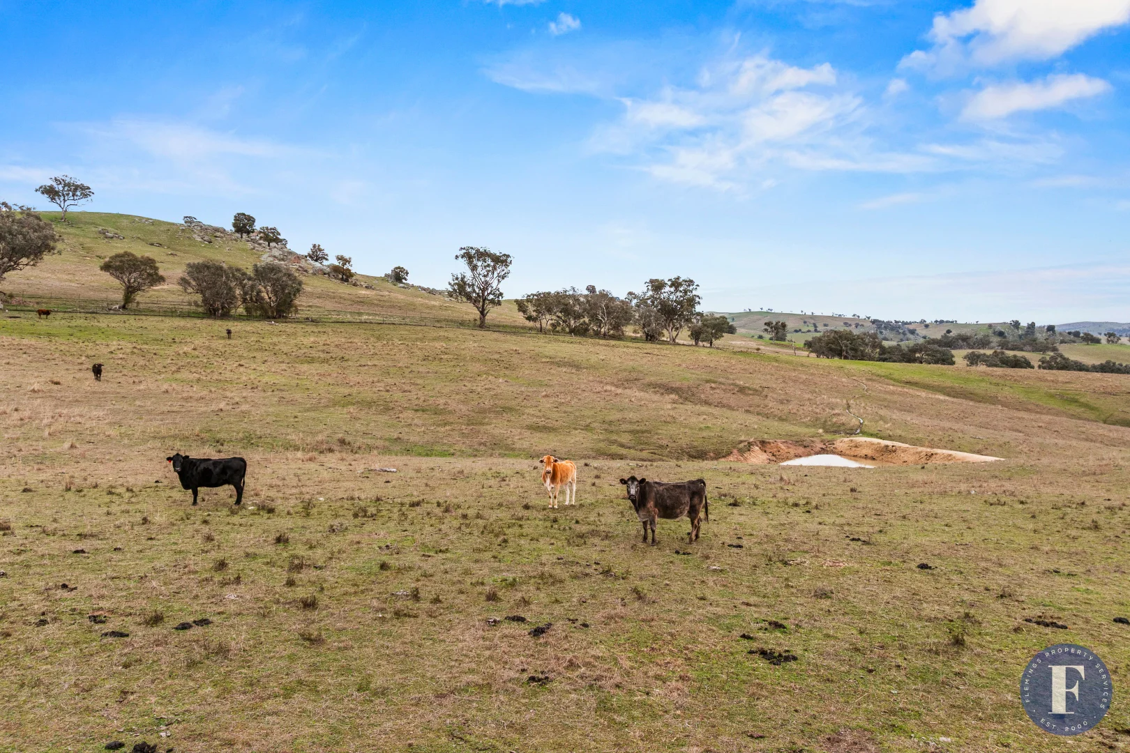 Additional image 15 of 458 Ironbark Lane, Frogmore NSW 2586