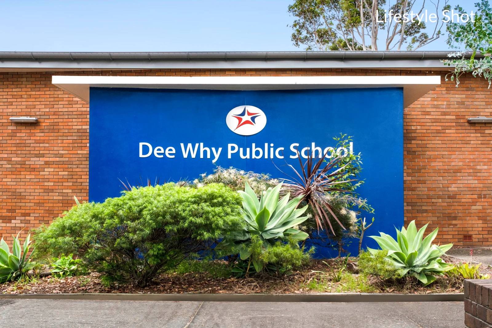 Additional image 17 of 25 Undercliffe Street, Dee Why NSW 2099