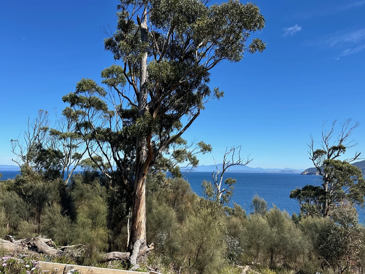 Additional image 17 of 613 White Beach Road, White Beach TAS 7184