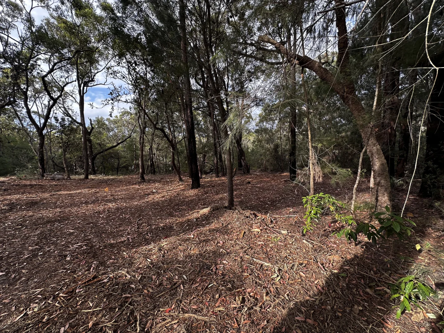Additional image 9 of 277 Galston Road, Galston NSW 2159