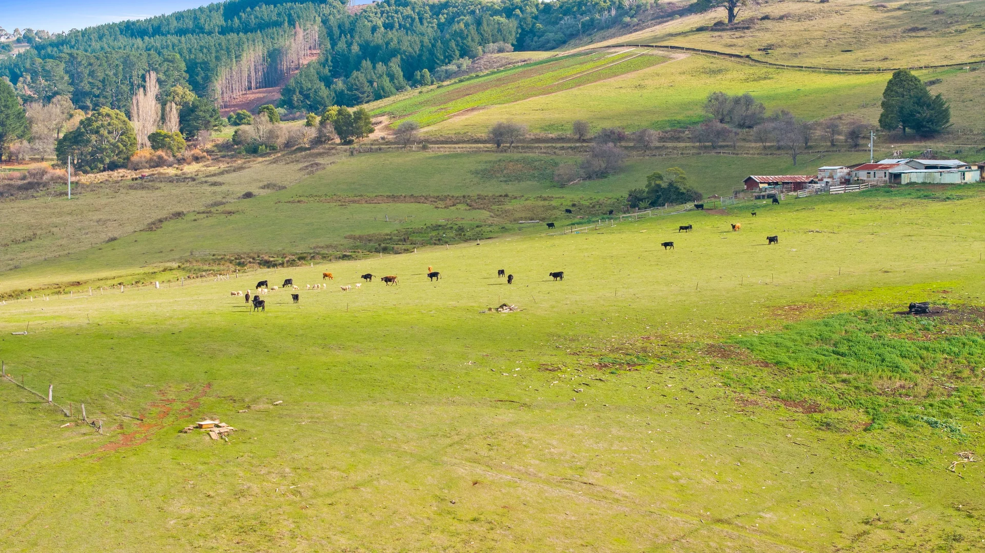 Additional image 5 of 65 Pumps Road, Callignee VIC 3844