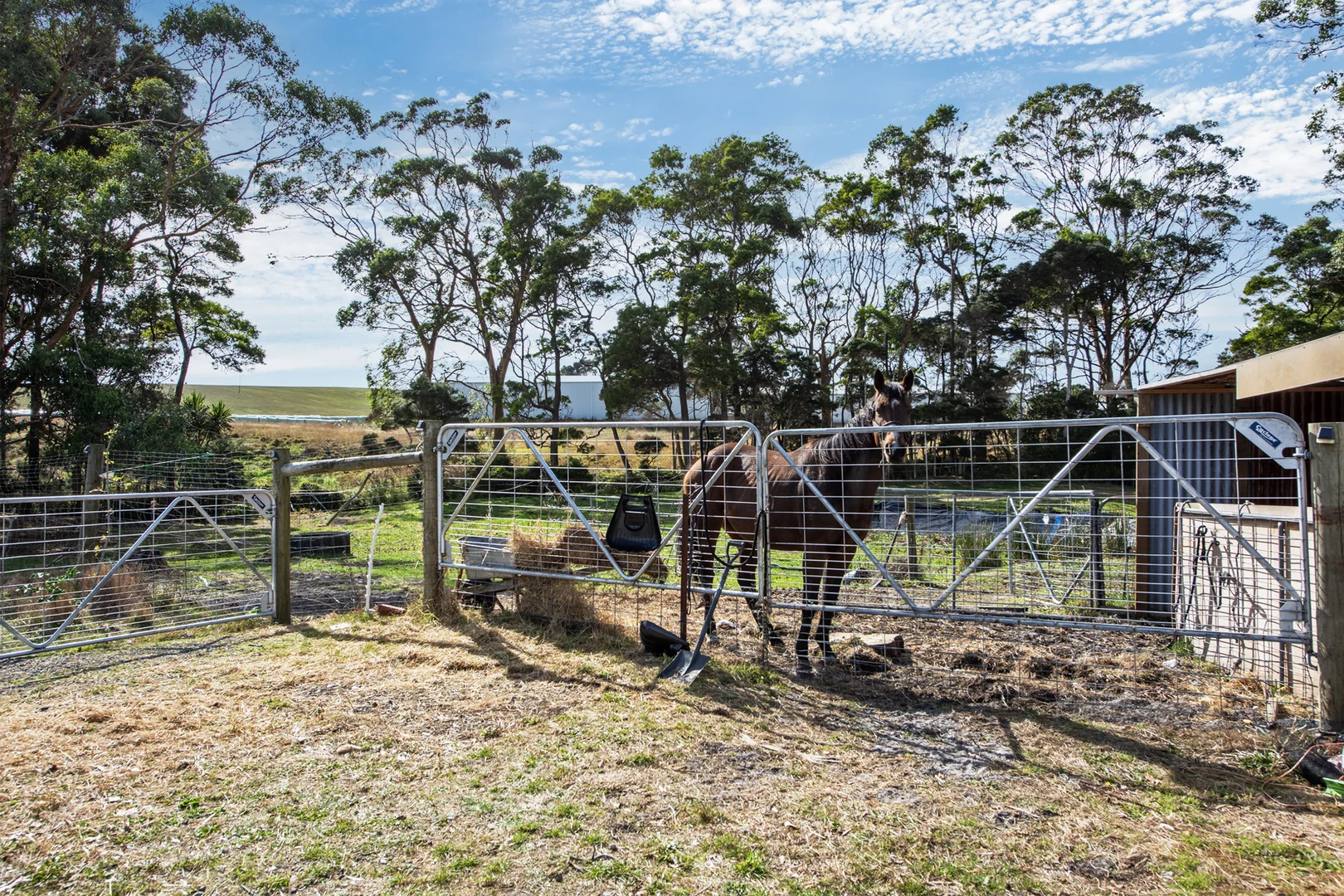 Additional image 8 of 211 Back Line Road, Forest TAS 7330