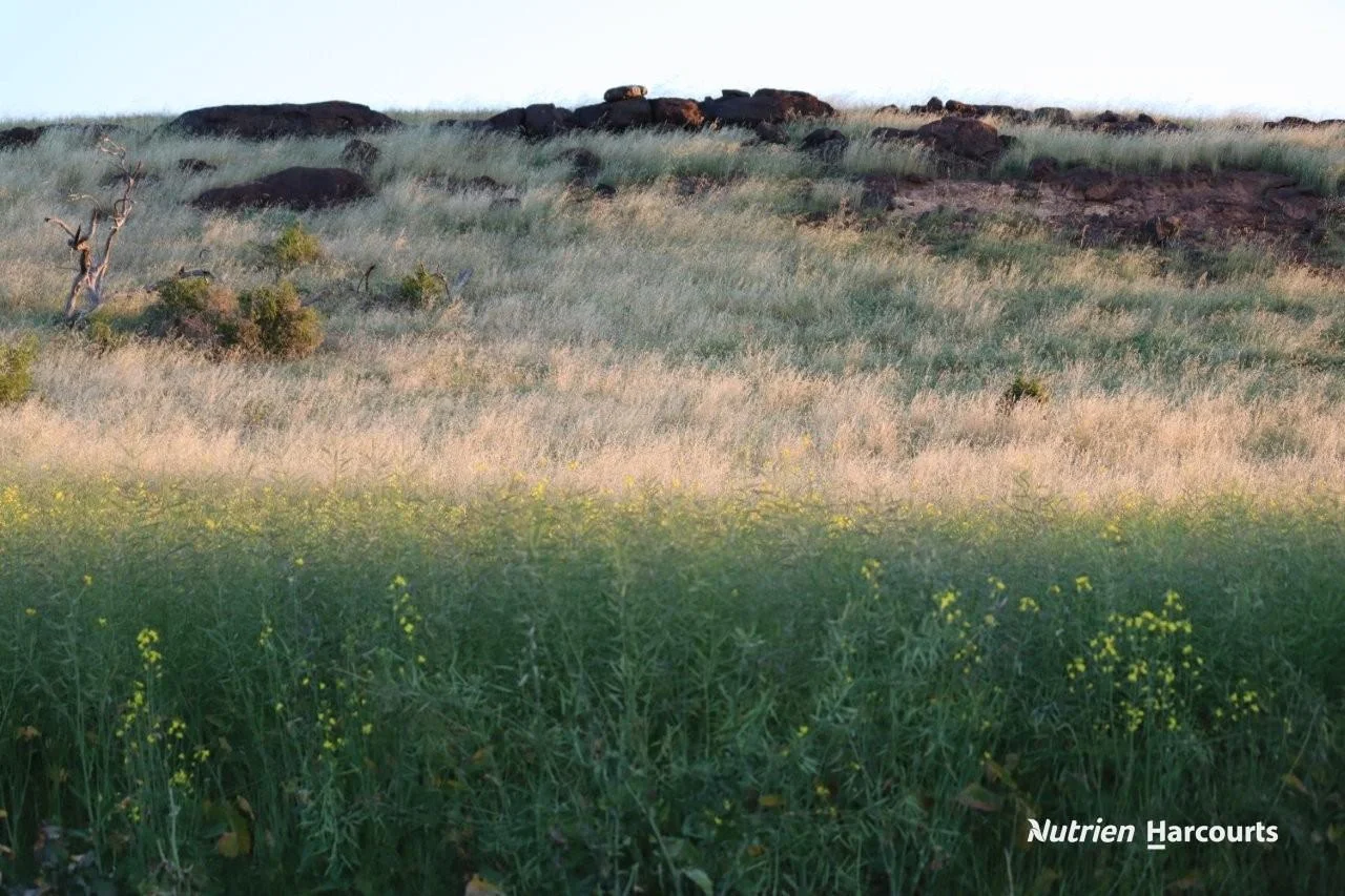 Additional image 6 of Lot 4 Larard Road, Sandy Gully WA 6535