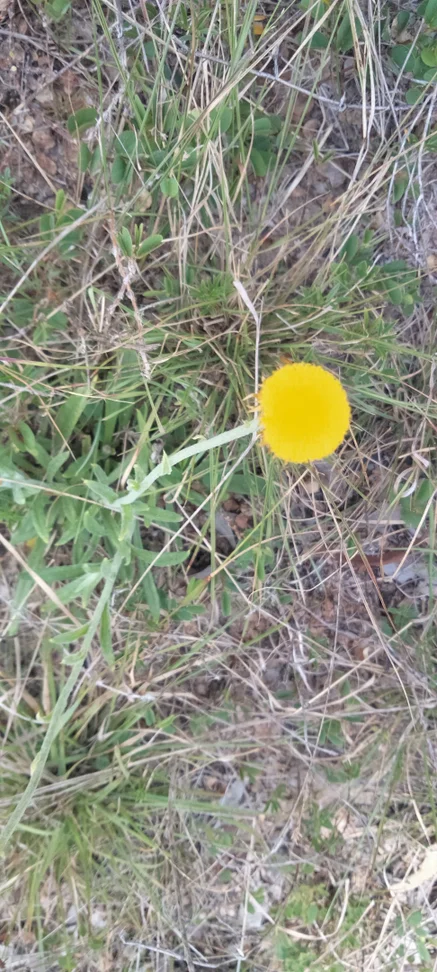 Additional image 44 of 3359 Lowmead Road, Lowmead QLD 4676