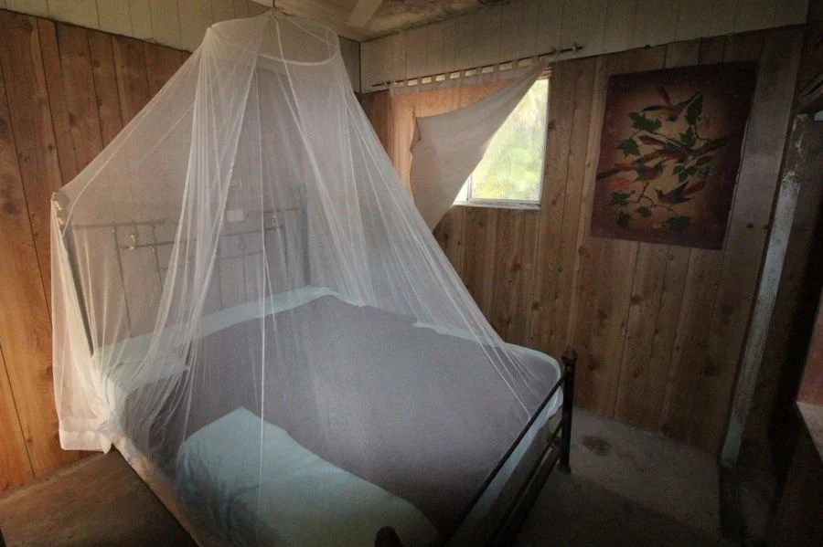 Additional image 15 of 492 Capricornia Drive, Deepwater QLD 4674