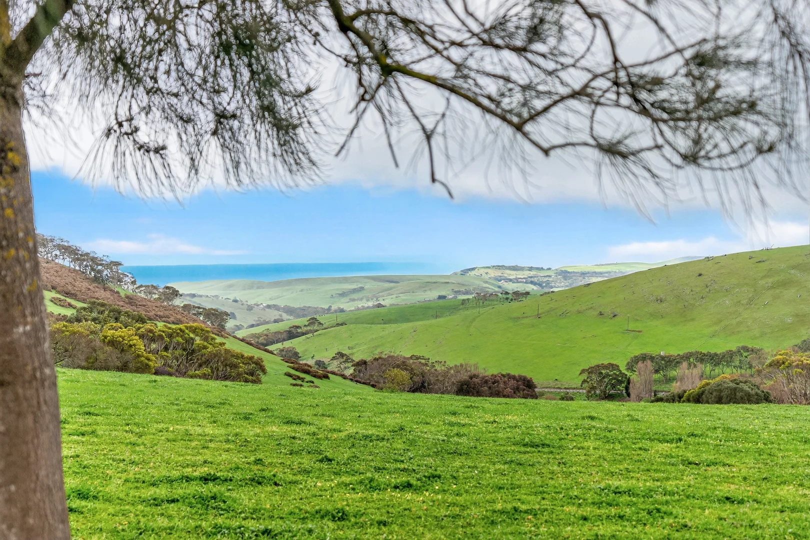 Additional image 69 of 8178 Main South Road, Delamere SA 5204