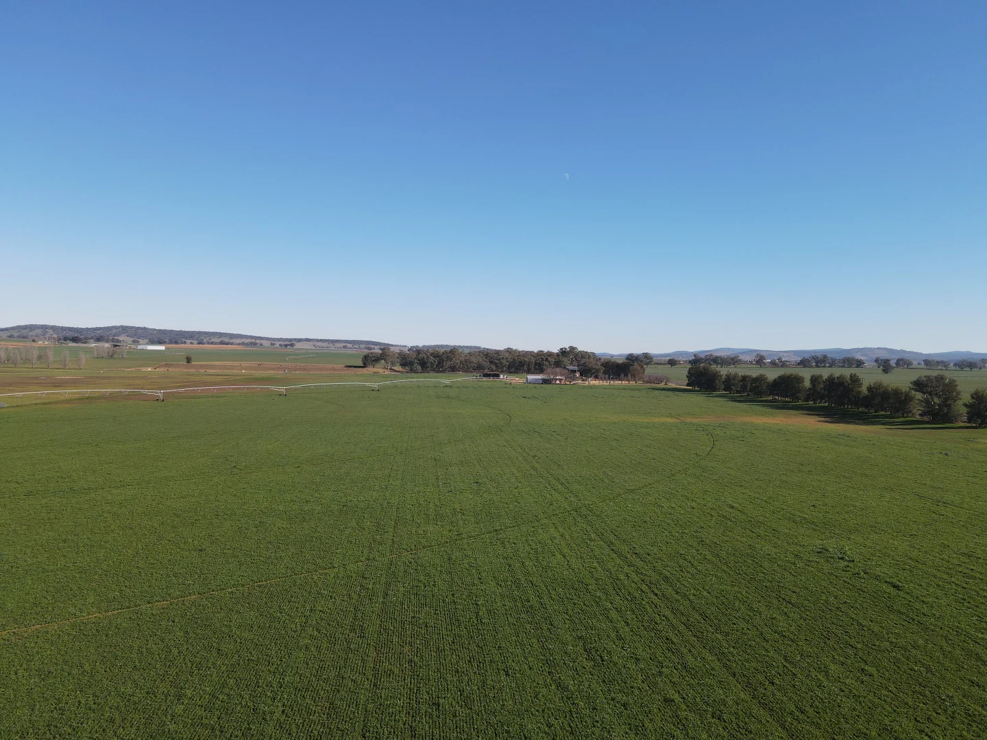 Additional image 31 of 349 Nangar Road, Canowindra NSW 2804