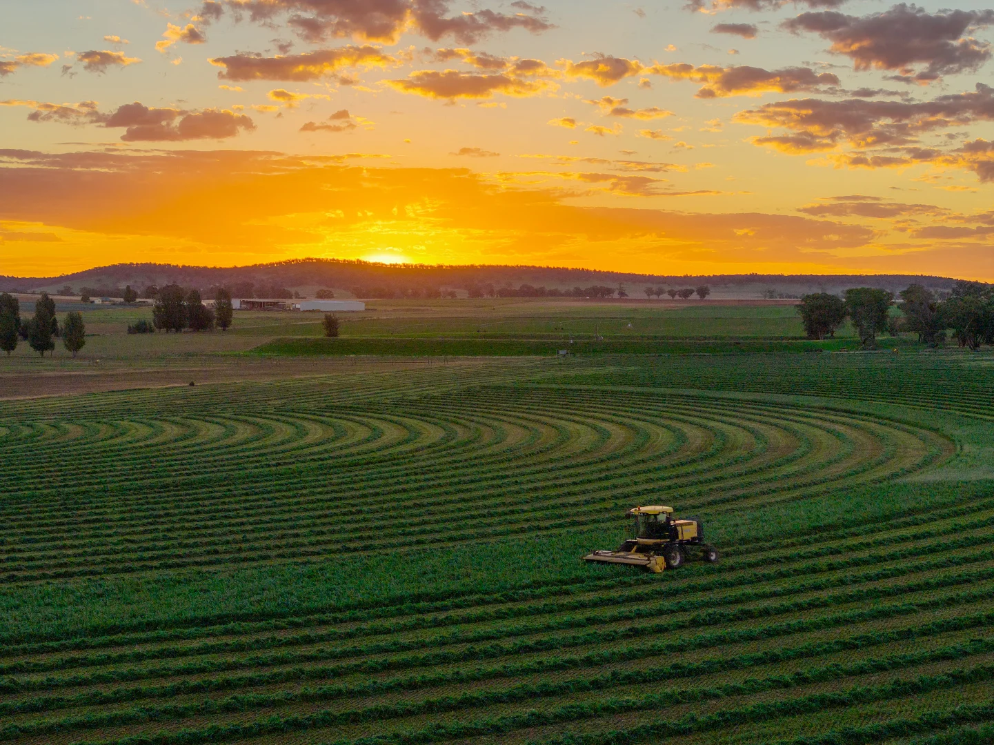 Additional image 5 of 349 Nangar Road, Canowindra NSW 2804