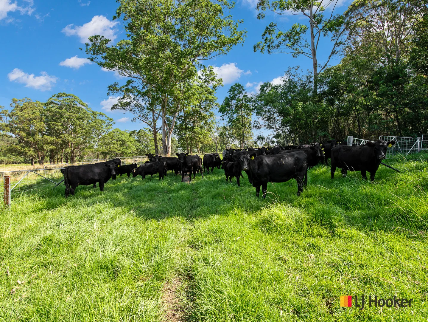 Additional image 20 of 953 The River Road, Currowan NSW 2536